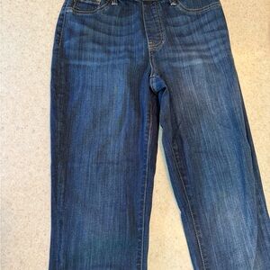 Judy Blue Straight Leg Blue Jeans with Classic Style